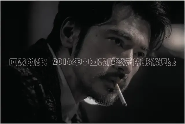 星空影视在线观看全集免费高清2